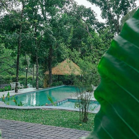 Athirapilly On The Rocks Hotell Athirappilly Eksteriør bilde