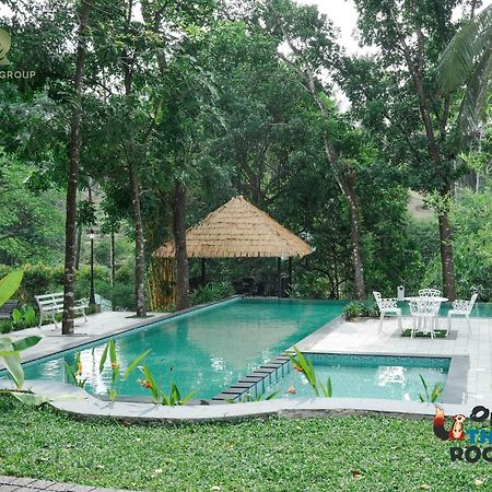 Athirapilly On The Rocks Hotell Athirappilly Eksteriør bilde