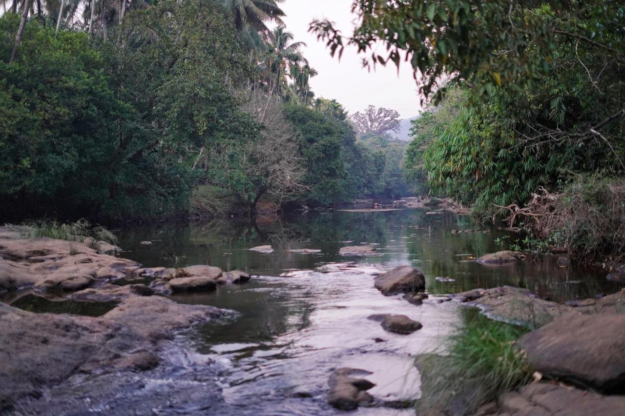 Athirapilly On The Rocks Hotell Athirappilly Eksteriør bilde