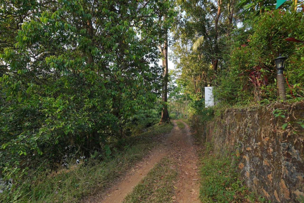 Athirapilly On The Rocks Hotell Athirappilly Eksteriør bilde