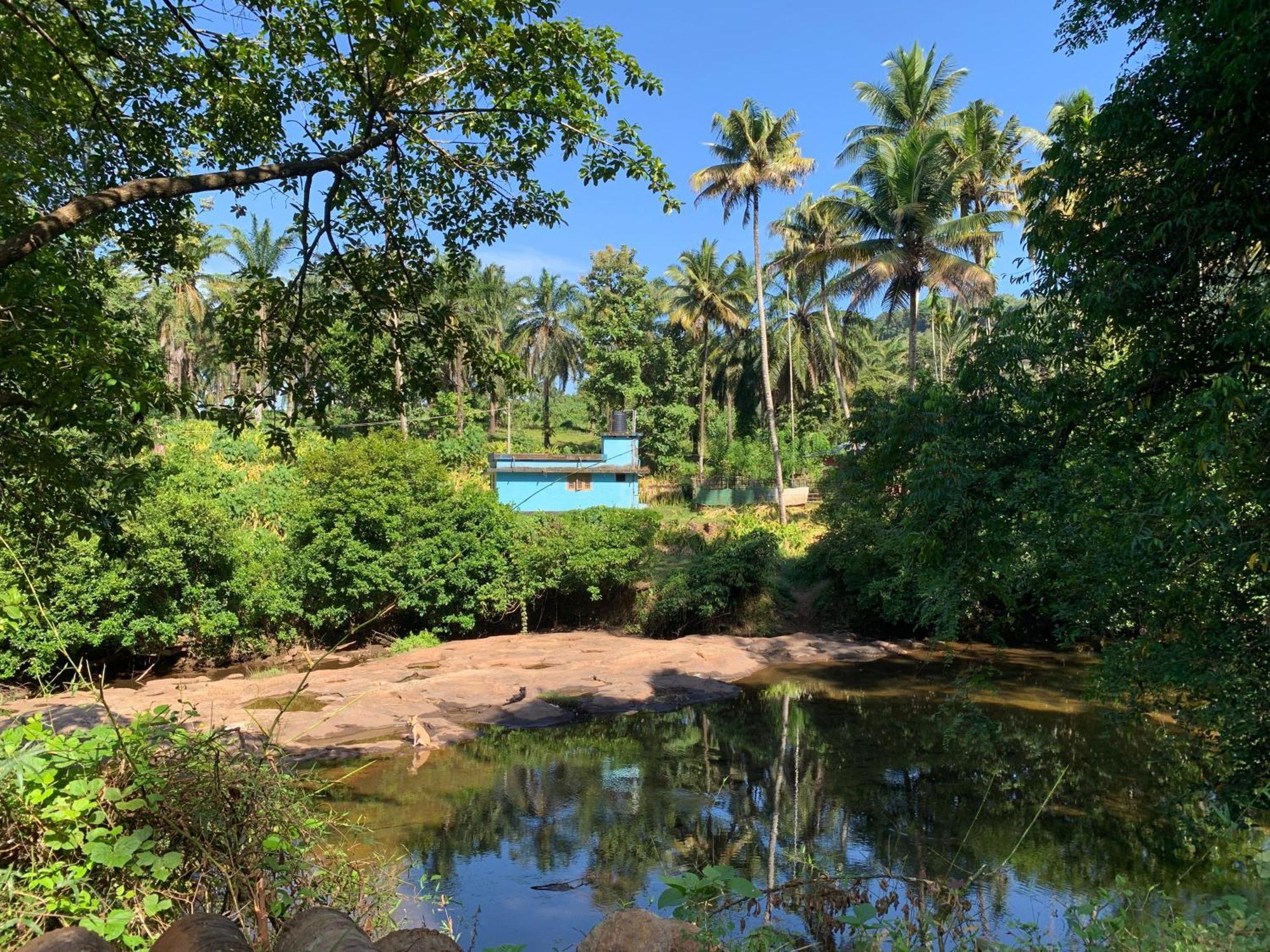 Athirapilly On The Rocks Hotell Athirappilly Eksteriør bilde